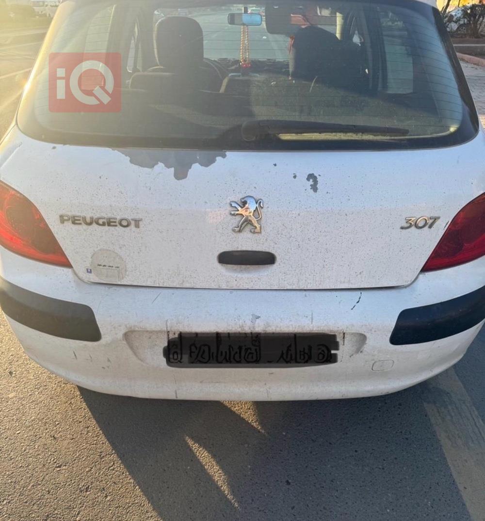 بيجو 307